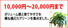 10000��20000�ߤξ���