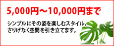 5000��10000�ߤξ���