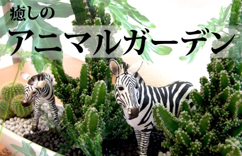 �����Υ��˥ޥ륬���ǥ�