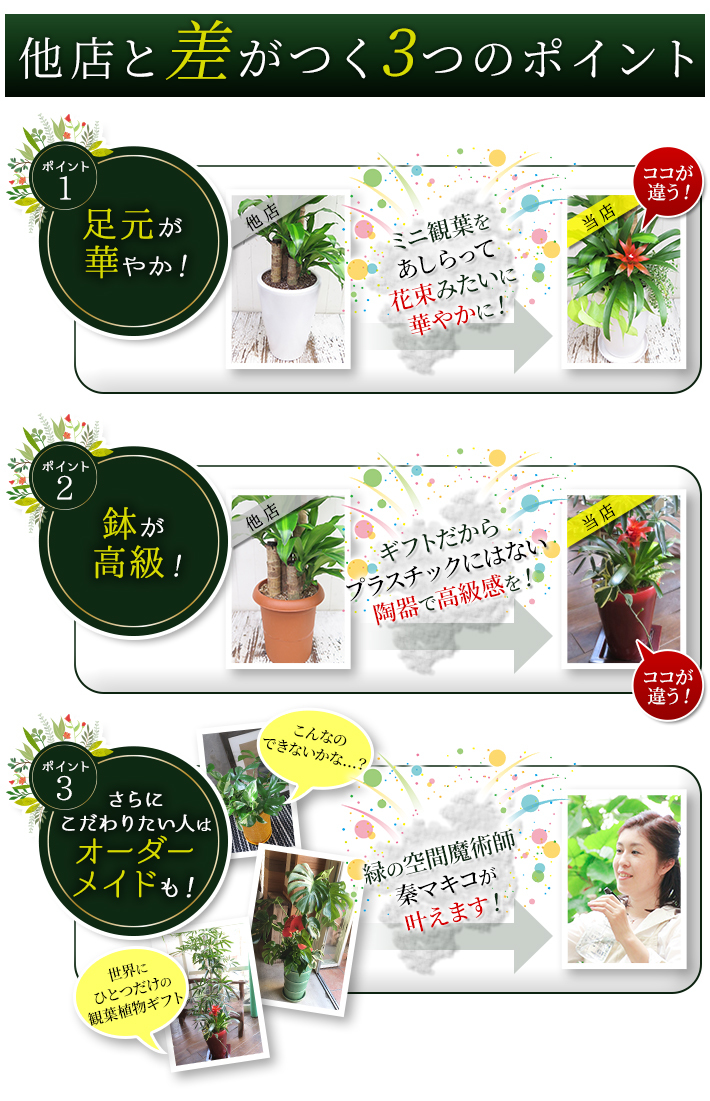 観葉植物ギフト通販 販売 新築 開店 開業祝いなどに タマトメ花遊館の観葉倶楽部 花 フラワーアレンジメント