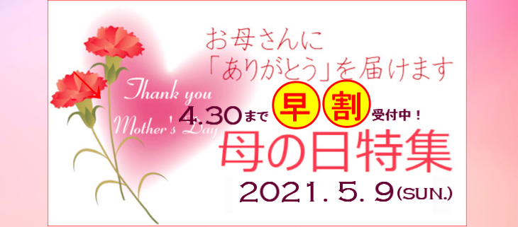 観葉植物ギフト通販 販売 新築 開店 開業祝いなどに タマトメ花遊館の観葉倶楽部 花 フラワーアレンジメント